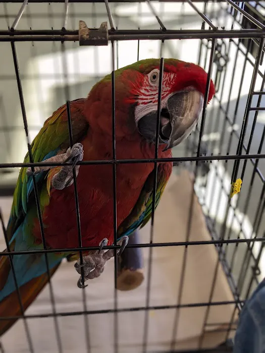 Animal Medical Center of Monroe 12