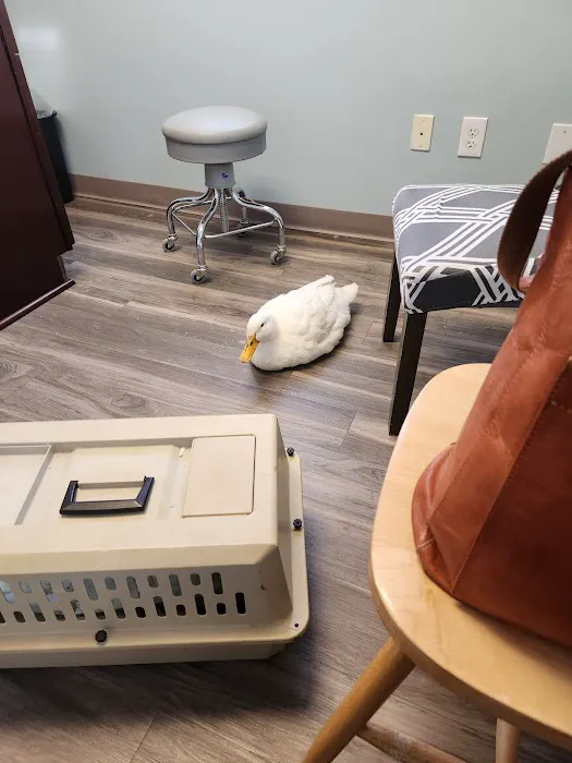 Animal Medical Center of Monroe 12