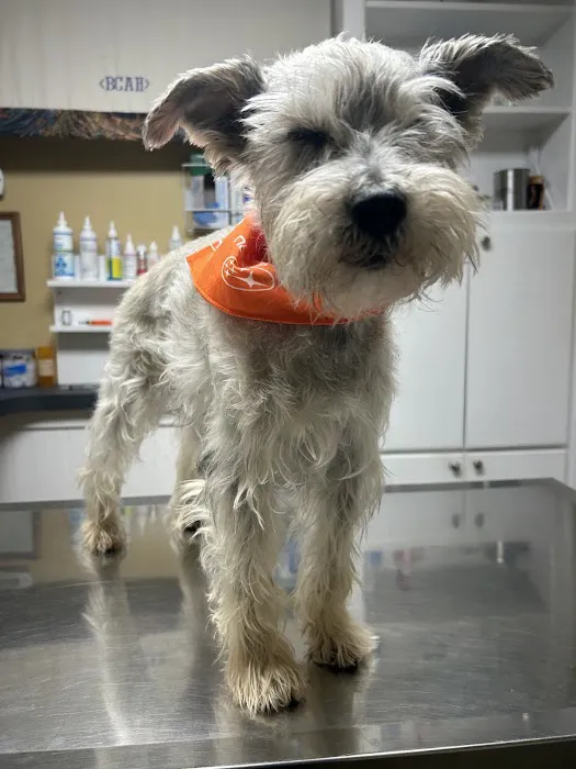 Beaver Crossing Animal Hospital 12