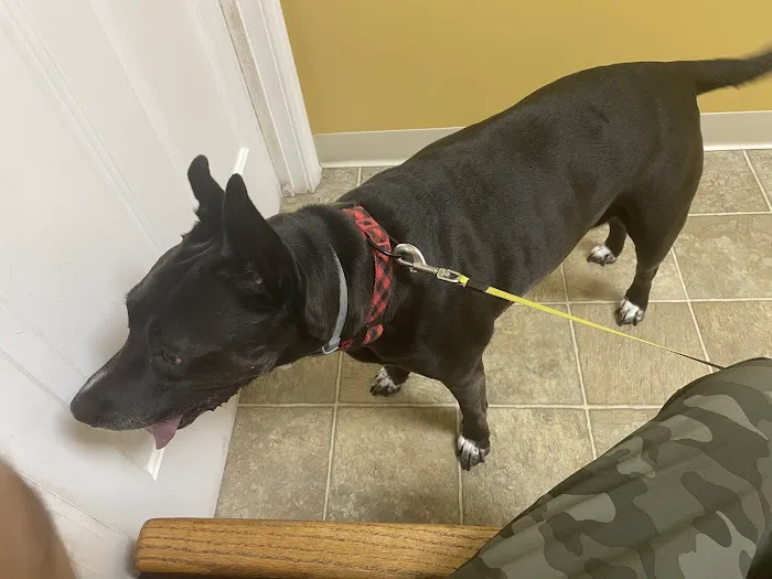Killian Hill Animal Hospital 6