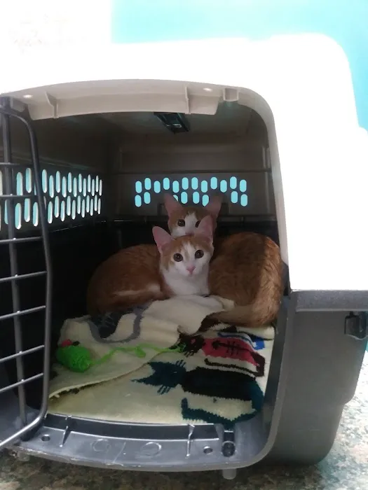 Killian Hill Animal Hospital 2