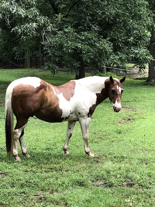 Countryside Animal Hospital 12