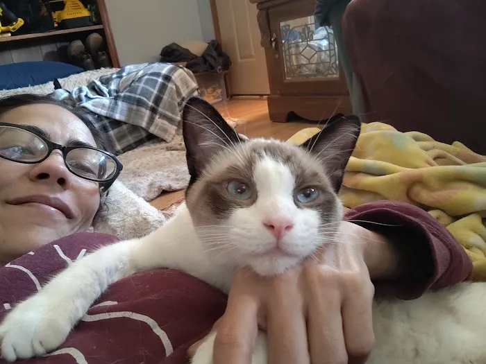 Paradox Spay & Neuter Clinic 12