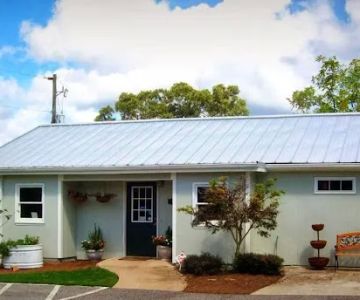 Animal Care Hospital at Bold Springs