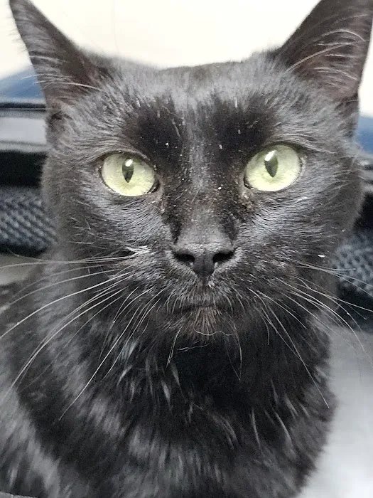 Mountain Park Animal Hospital: Nancy J. Buchinski, DVM 12