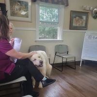 Mountain Park Animal Hospital: Nancy J. Buchinski, DVM ico