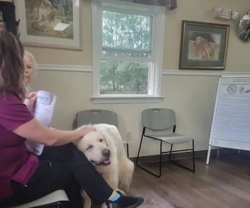 Mountain Park Animal Hospital: Nancy J. Buchinski, DVM