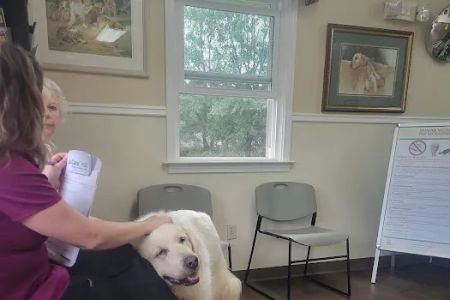 Mountain Park Animal Hospital: Nancy J. Buchinski, DVM