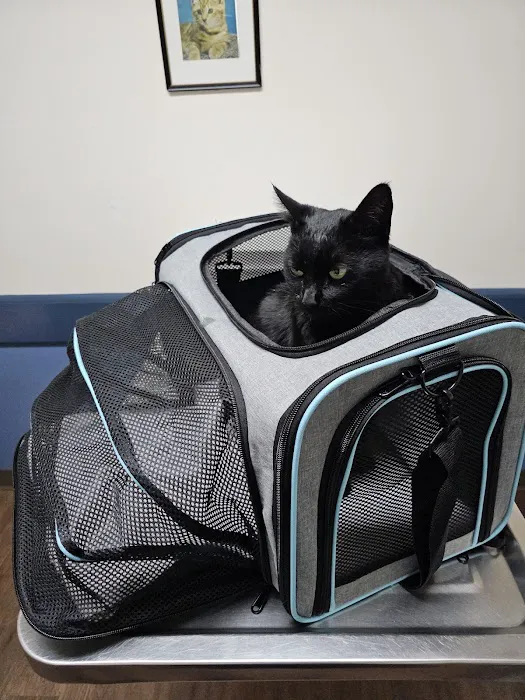 Mountain Park Animal Hospital: Nancy J. Buchinski, DVM 12