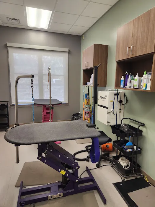 VCA Lilburn Animal Hospital 12