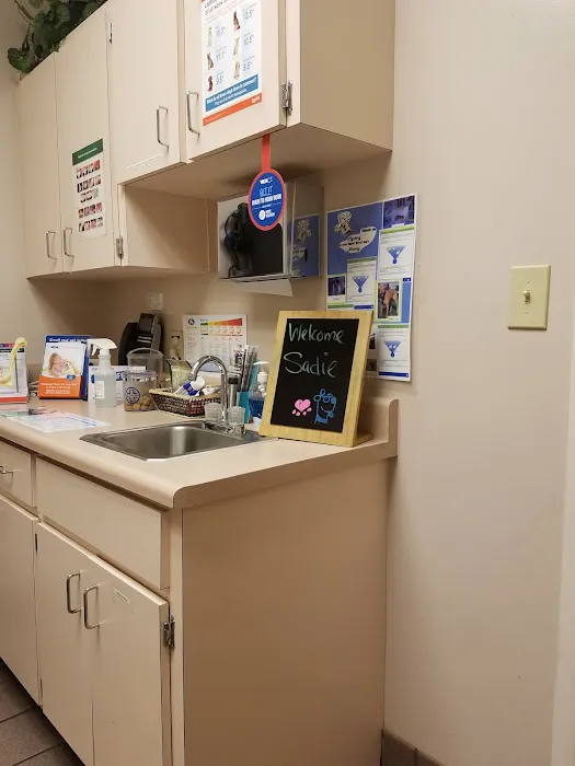 VCA Lilburn Animal Hospital 12