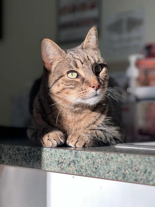 Abbott Animal Wellness Center 12
