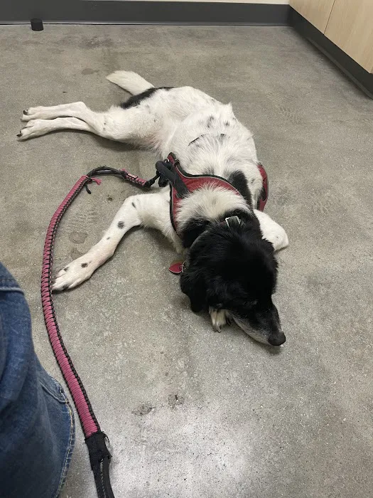 Vetco Total Care Animal Hospital 12
