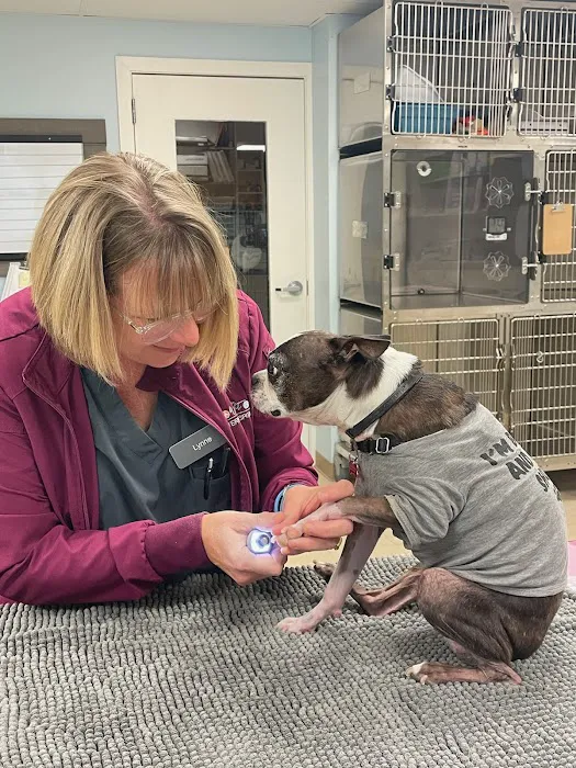 Whole Pet Veterinary Hospital - Davidson 12