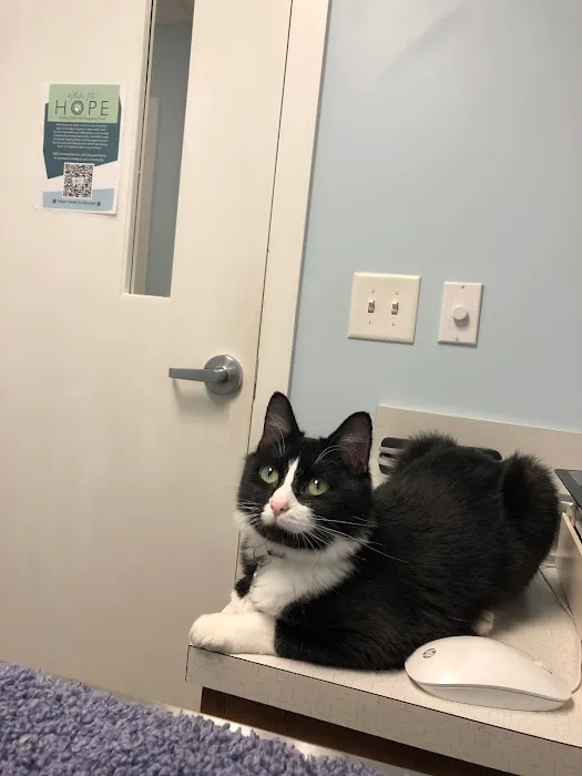 Whole Pet Veterinary Hospital - Davidson 12