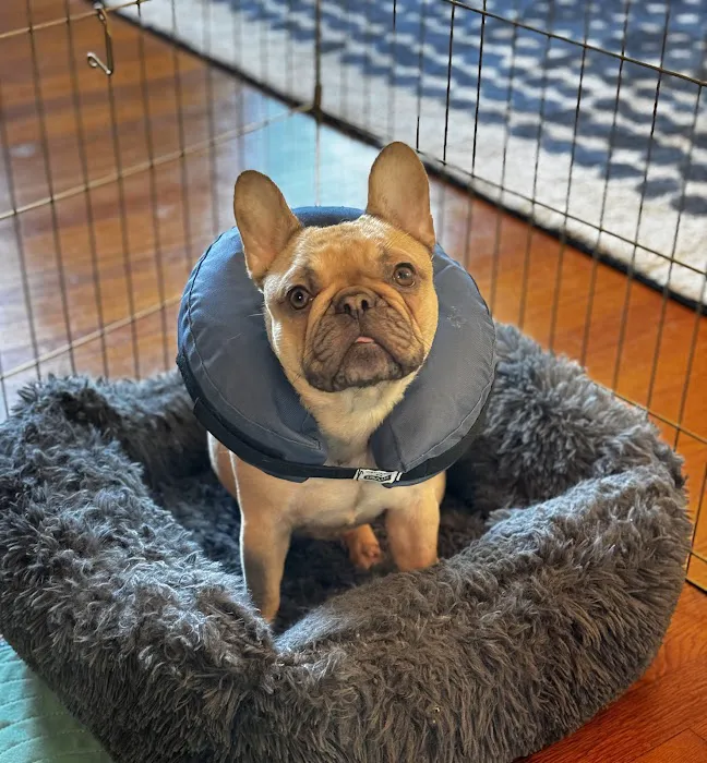 Whole Pet Veterinary Hospital - Davidson 12