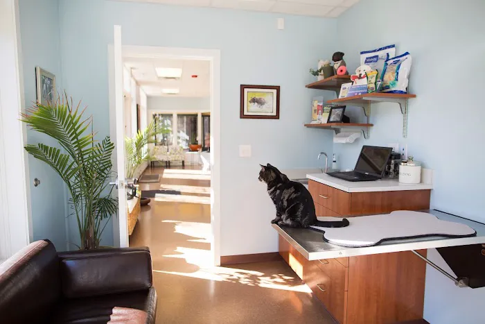 Whole Pet Veterinary Hospital - Davidson 12