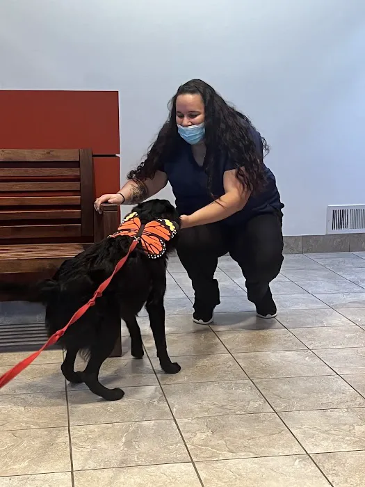 Vancouver Veterinary Hospital 10