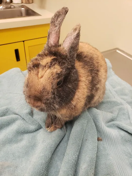 Vancouver Veterinary Hospital 4
