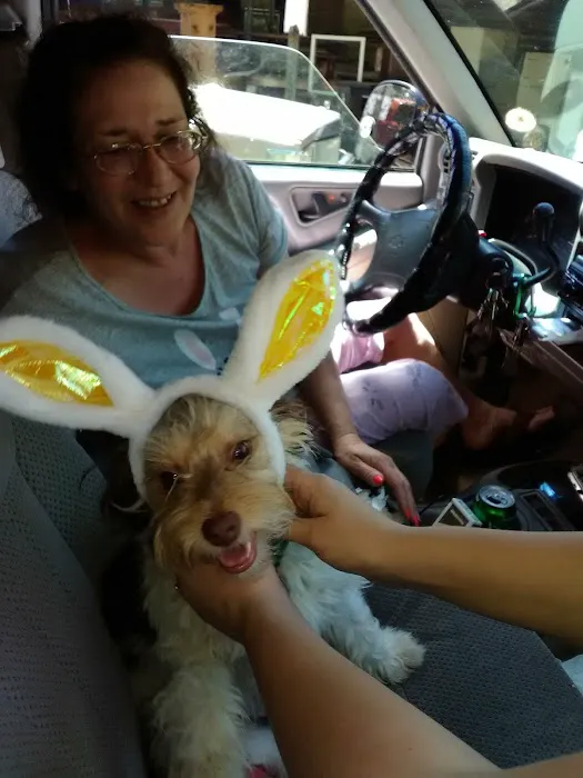 Thomaston Animal Hospital 4