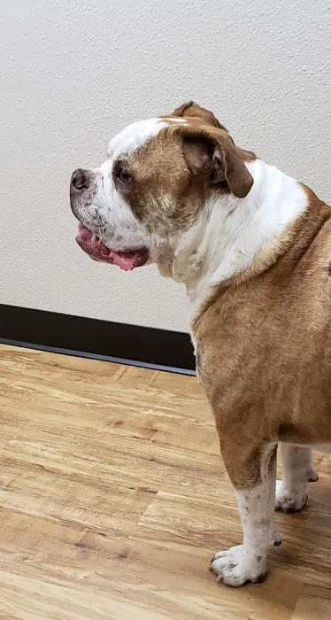 Northgate Veterinary Clinic 12