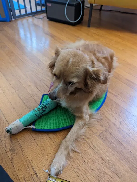 Northgate Veterinary Clinic 12