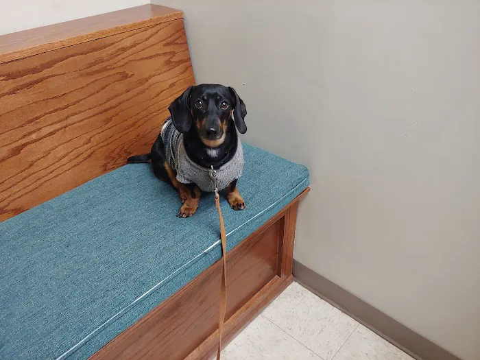 Matthews Animal Clinic 12