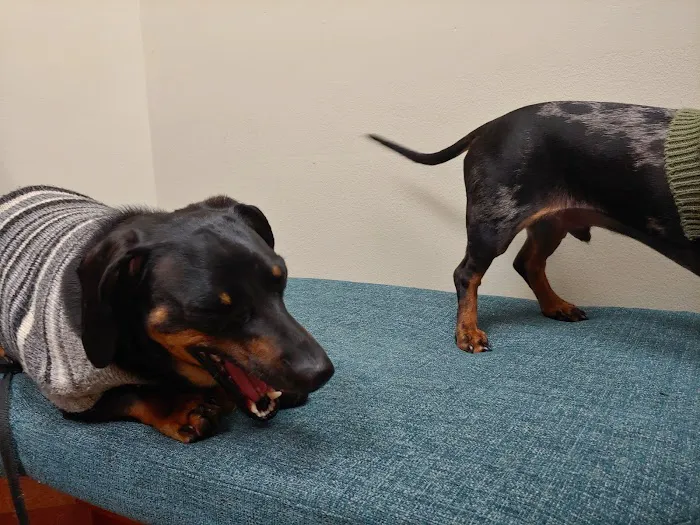 Matthews Animal Clinic 12