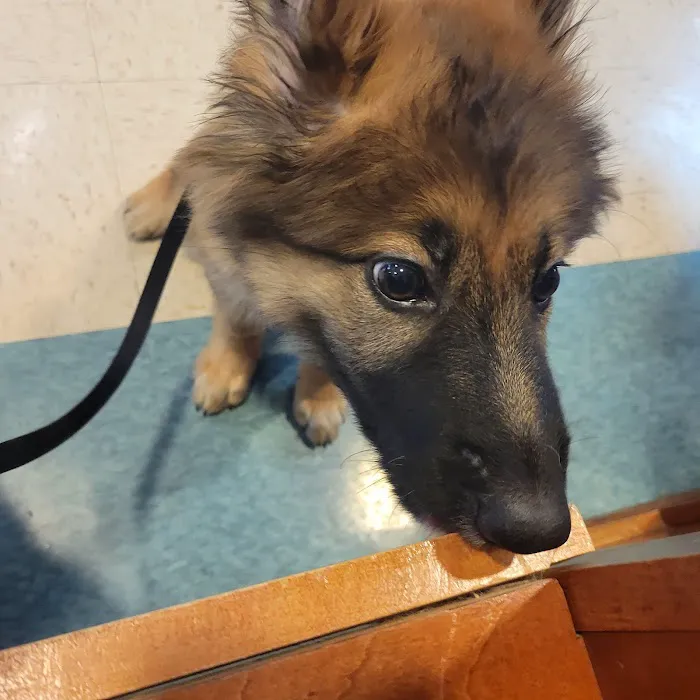Matthews Animal Clinic 12