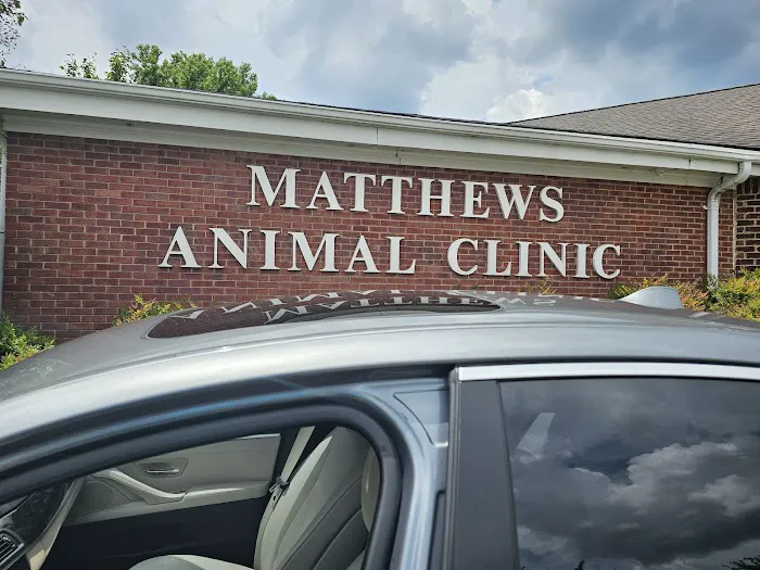 Matthews Animal Clinic 12