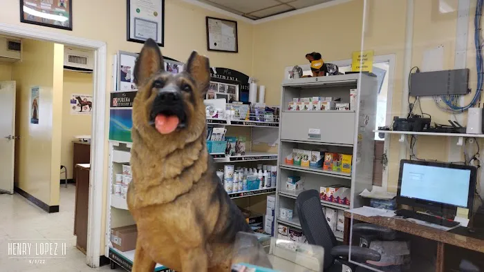 Affordable Pet Clinic 12