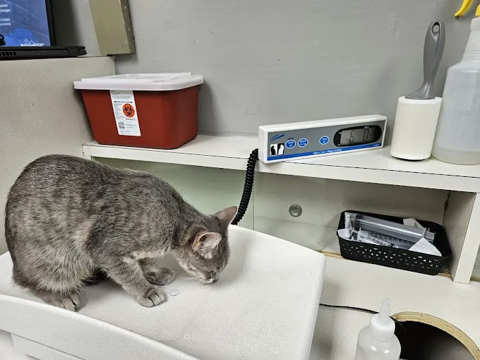North Line Low Cost - Affordable Pet Clinic Tidwell 12