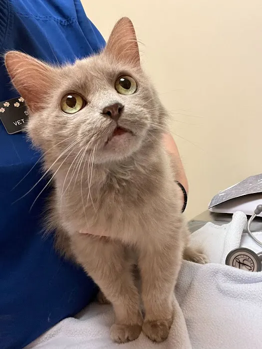 North Seattle Veterinary Clinic 3