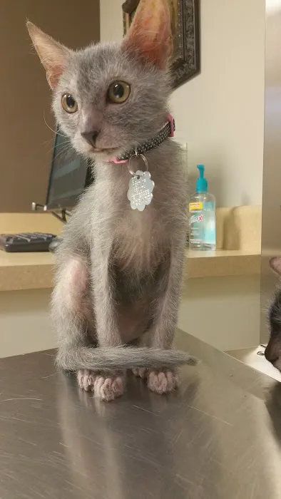 Travelers Rest Animal Hospital 3