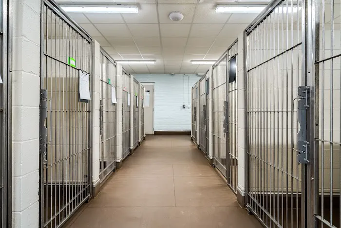 Travelers Rest Animal Hospital 2