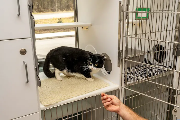 Travelers Rest Animal Hospital 4