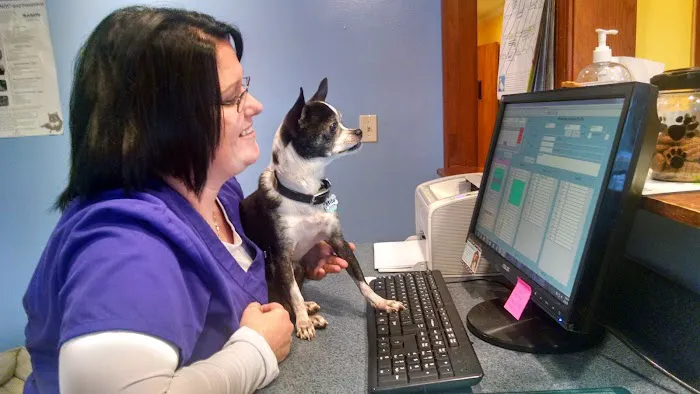 American Heritage Animal Hospital 3
