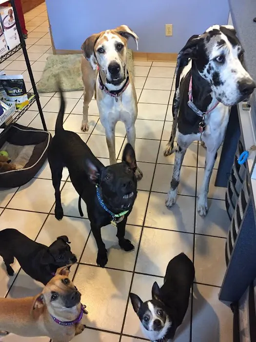 American Heritage Animal Hospital 6