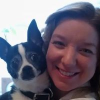 American Heritage Animal Hospital ico