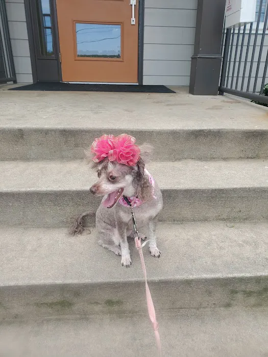 Abbott Animal Hospital 9