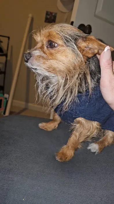 Abbott Animal Hospital 7