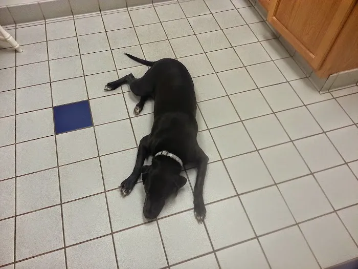 Sugarloaf Animal Hospital 12