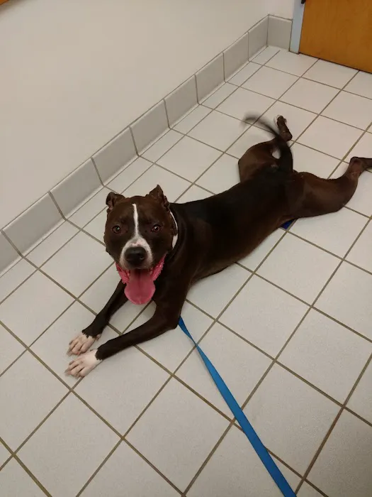 Sugarloaf Animal Hospital 12