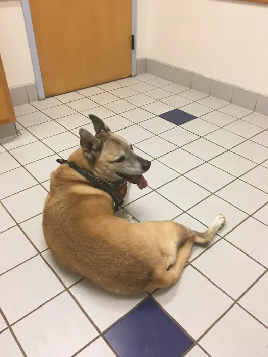 Sugarloaf Animal Hospital 12