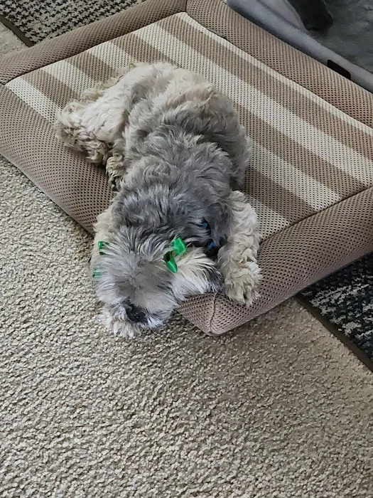 Banfield Pet Hospital 8