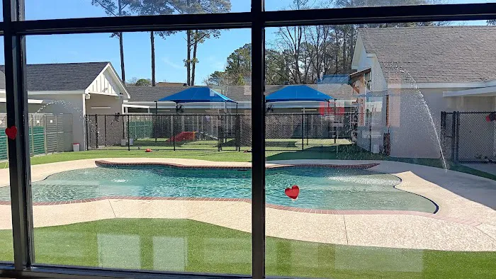 Banfield Pet Hospital 9