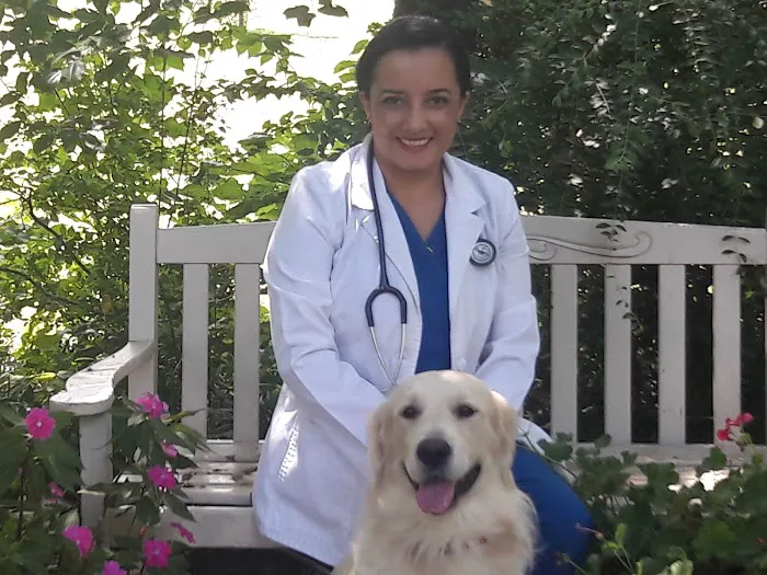 North Hills Animal Hospital 10