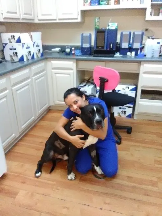 North Hills Animal Hospital 7