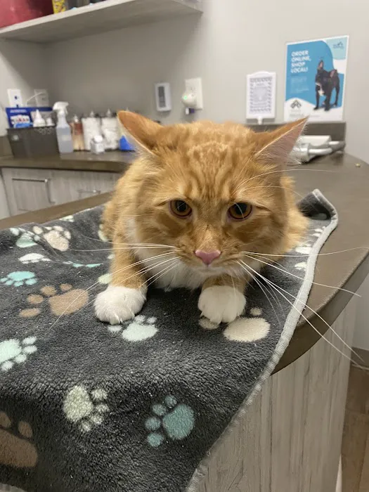 Monroe Animal Care Hospital 2