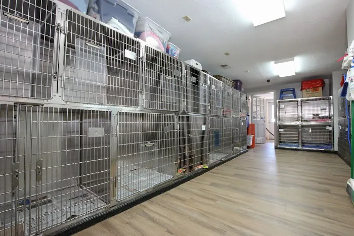 Monroe Animal Care Hospital 4